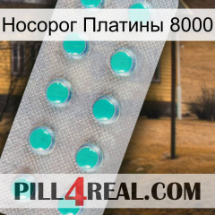 Носорог Платины 8000 28